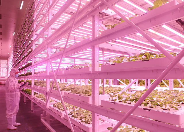 Plant2018中國國際植物工廠及農業照明博覽會即將在滬開幕