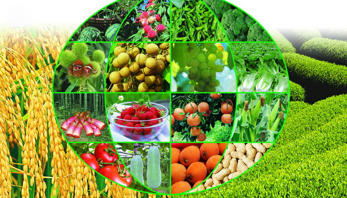 中國智慧農業網:主體模式帶動現代農業發展-