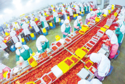 沖刺上市,&ldquo;農字號&rdquo;企業欲酬壯志