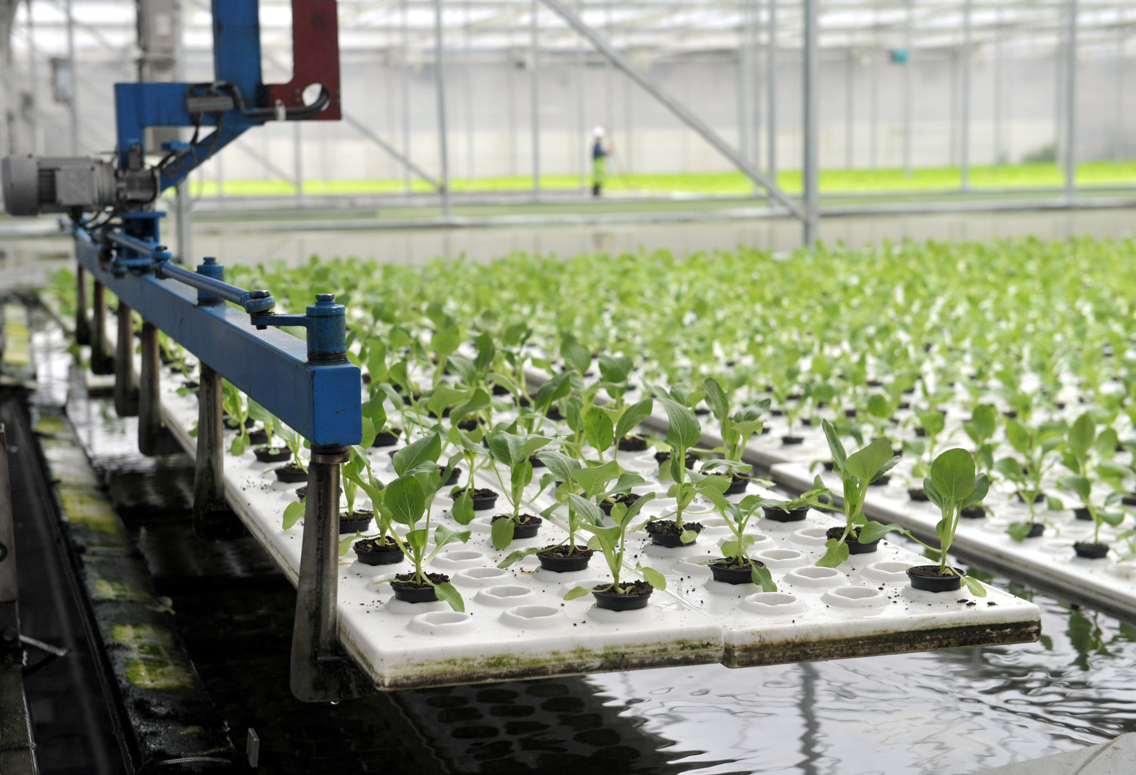 農業(yè)供給側改革圖片 2104125 3848x2625