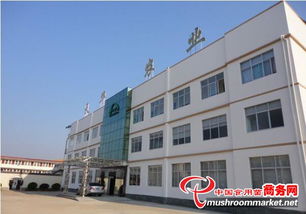江西 贛州工廠化食用菌遠銷海外