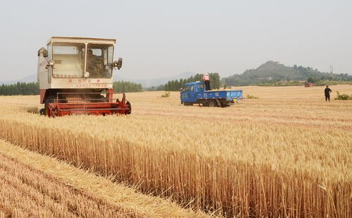 農業農村部 全力抓好下半年糧食和重要農產品生產