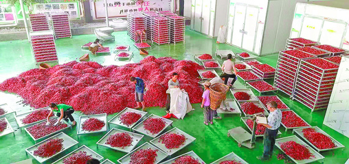 重慶農產品加工如何持續發力