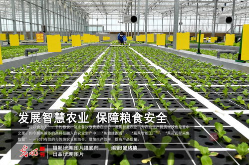發展智慧農業 保障糧食安全