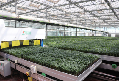 山東省濟(jì)南市濟(jì)陽(yáng)區(qū)智慧育苗賦能鄉(xiāng)村振興