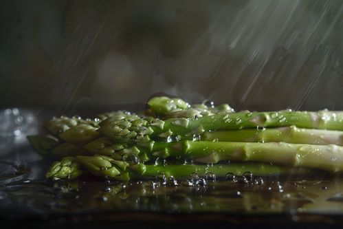 農(nóng)產(chǎn)品成熟營(yíng)養(yǎng)蔬菜蘆筍圖片攝影圖 廣告素材 下載至來源處