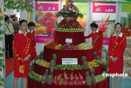 累計1480余噸 統(tǒng)計顯示深圳成最大臺果進(jìn)口口岸圖