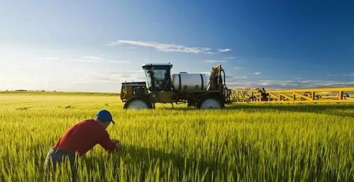 加拿大農(nóng)業(yè)食品行業(yè)移民試點計劃afip公布細(xì)則