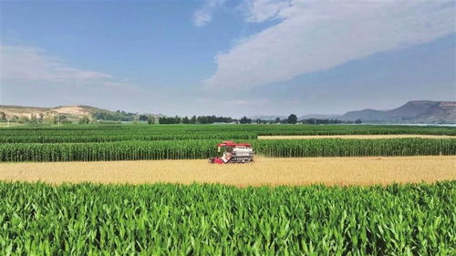 凝心聚力促發展 砥礪奮進踏新程 渭源縣推進經濟社會高質量發展綜述