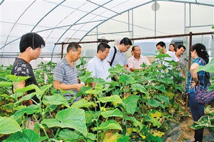 從農田到餐桌 抓好源頭監管 為群眾提供放心優質農產品