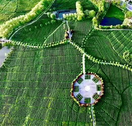 陜西東裕生物科技股份