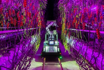 電裝與Certhon跨界創新實踐 Artemy機器人 開啟農業工廠化時代