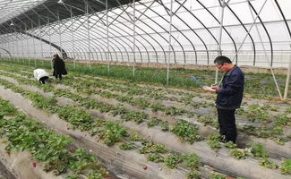 農(nóng)產(chǎn)品抽檢筑牢安全防線 親子運(yùn)動(dòng)會(huì)共繪社區(qū)春色——合陽金水社區(qū)近期活動(dòng)側(cè)記